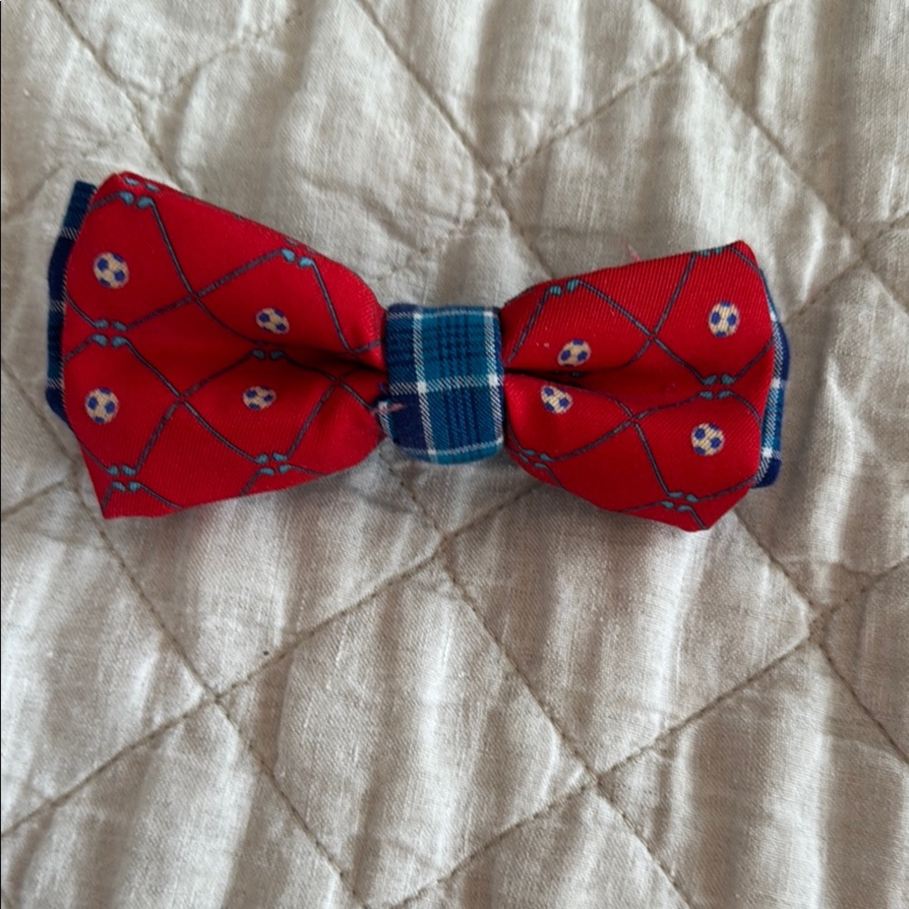 Red and Blue Bow Tie
